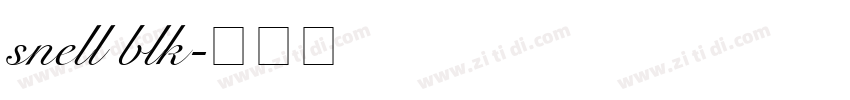 snell blk字体转换